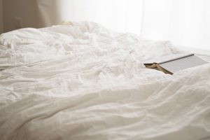 Le cimici dei letti l'invisibile minaccia nei nostri letti